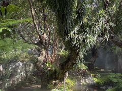 -Chom Cafe and Restaurant