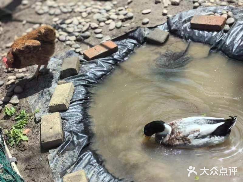 海富金太阳幼儿园(金杨十街坊东)图片