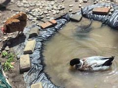 -海富金太阳幼儿园(金杨十街坊东)