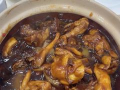 鸡煲特大鲍翅-凤城礼记鱼翅海鲜酒家(新马路总店)