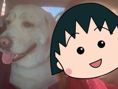 -宠颐生中康贝怡动物医院