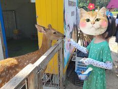 -前小桔亲子创意农场·草莓采摘·露营烧烤