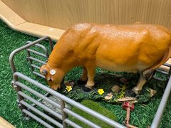 -贵宾牛·潮汕牛肉火锅(珠池总店)