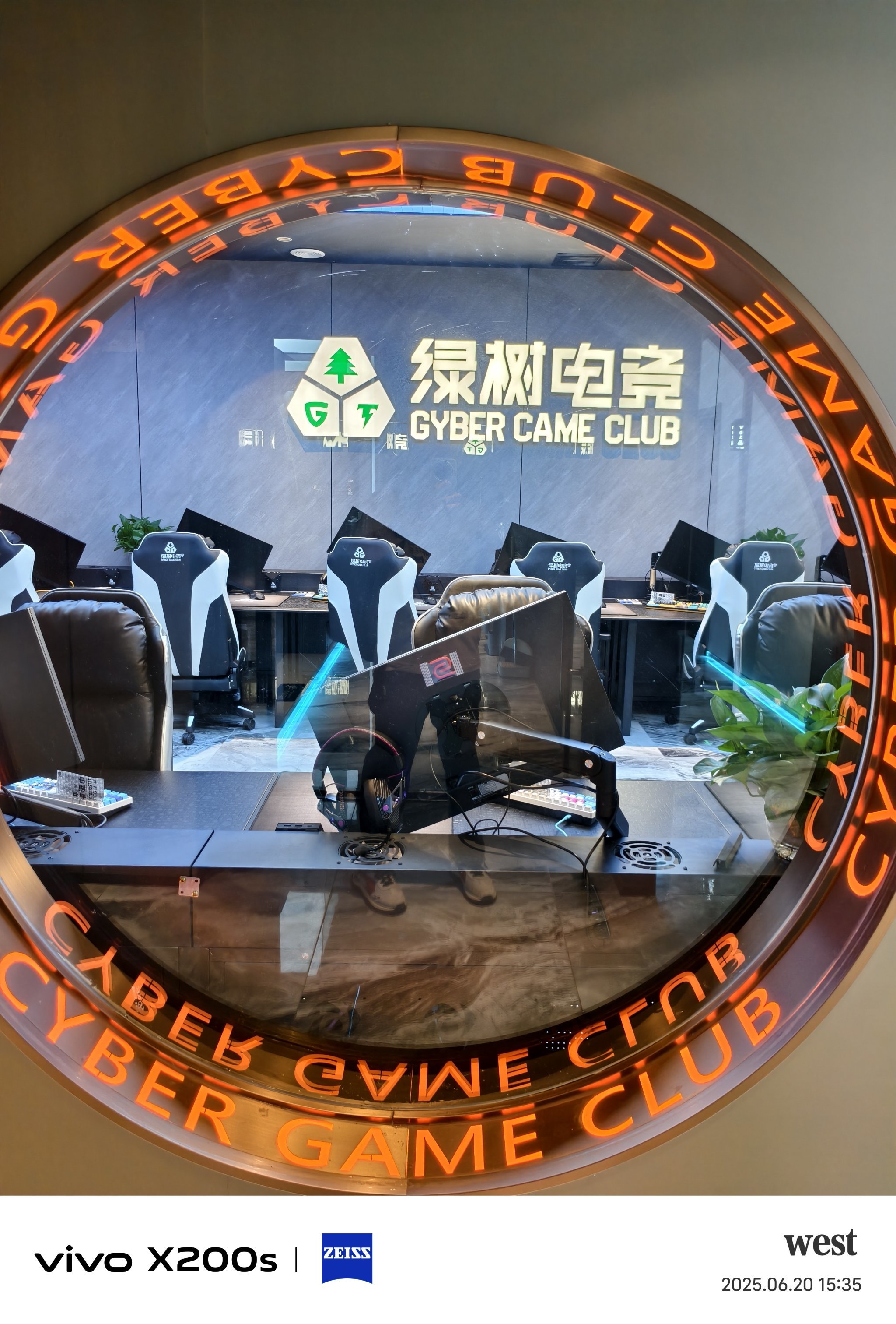 🌐绿树电竞探店