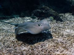 -海合安武汉极地海洋公园