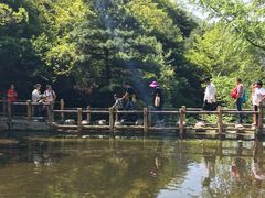 -王顺山国家森林公园