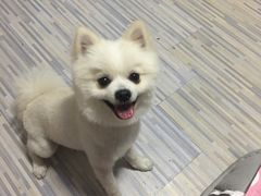 -全心全意动物诊疗中心医院(北苑店)