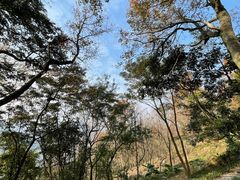 -广州市石门国家森林公园