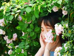 -白鹭湾湿地公园