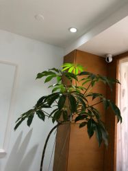 -HEYAN荷妍专业脱毛连锁机构