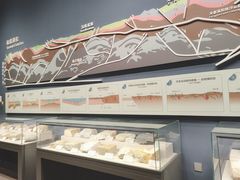 -湖南省地质博物馆