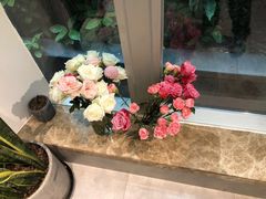 -CHEZ JASMINE 茉莉的氧气厨房