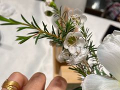 -芙蓉树下·四川冒菜(大悦城店)
