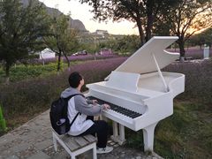 -密云玫瑰情园