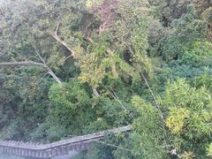 -苏州上方山国家森林公园
