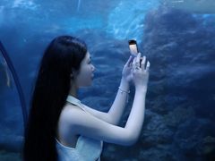 -左海海底世界