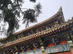 -洛阳白马寺