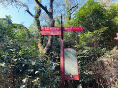 -东莞市大岭山森林公园