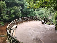 -碧峰峡风景区