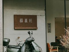 -猫里有甜