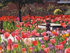 -丹东路渡口(轮渡站)