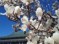 -国家图书馆·古籍馆