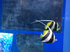 -福州罗源湾海洋世界旅游区