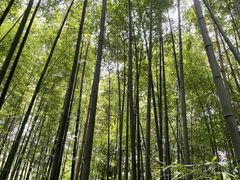 -四门塔风景区