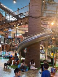 -卡通尼·Safari非洲探索乐园·生日会(金桥国际商业广场店)