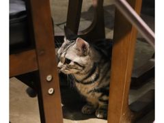 -咖法森林·咖啡  酒吧(天河店)