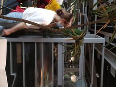 -湊湊火锅·茶憩(皇姑万象汇店)