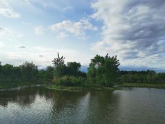-东郊湿地公园