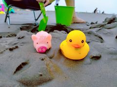 -南汇新城海滩