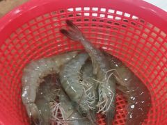 -濠轩阁特色生蚝火锅(水湾路店)