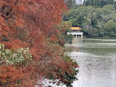 -深圳仙湖植物园