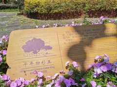 -鼓岭旅游度假区