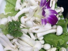 -蒙星月涮肚火锅城(宏运家园店)