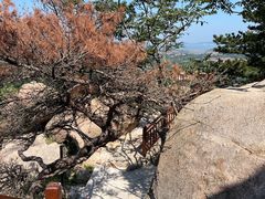 -崂山仰口游览区
