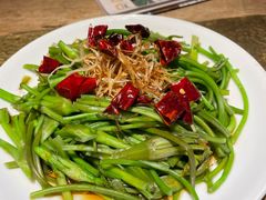 -菌自由丨野生菌火锅特色庭院餐厅(丽江古城店)