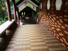 -九龙公园
