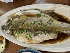 清蒸鲜白鱼-西新饭店(城中店)
