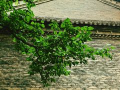 -罔极寺