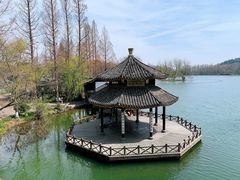 -茅家埠