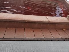 -天目湖涵田半山温泉