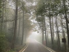 -山王坪喀斯特国家生态公园