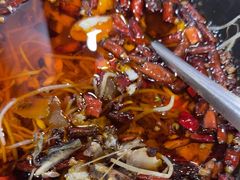 -金三可市井水煮鱼(金碧园店)