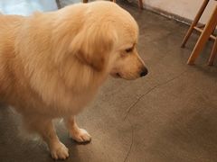 -尤加利咖啡馆
