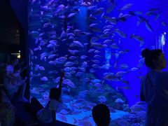 -成都浩海立方海洋公园