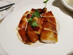 -点都德·毕德寮