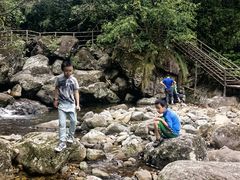 -东天目山风景区